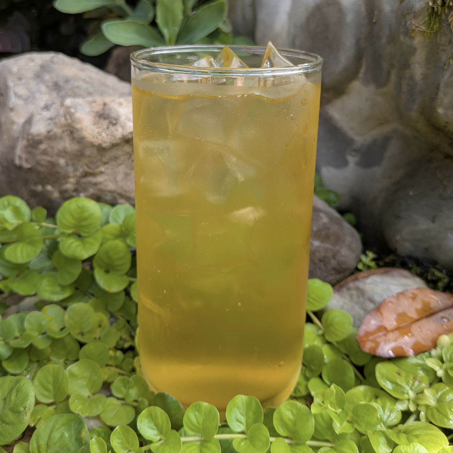 Iced Tea