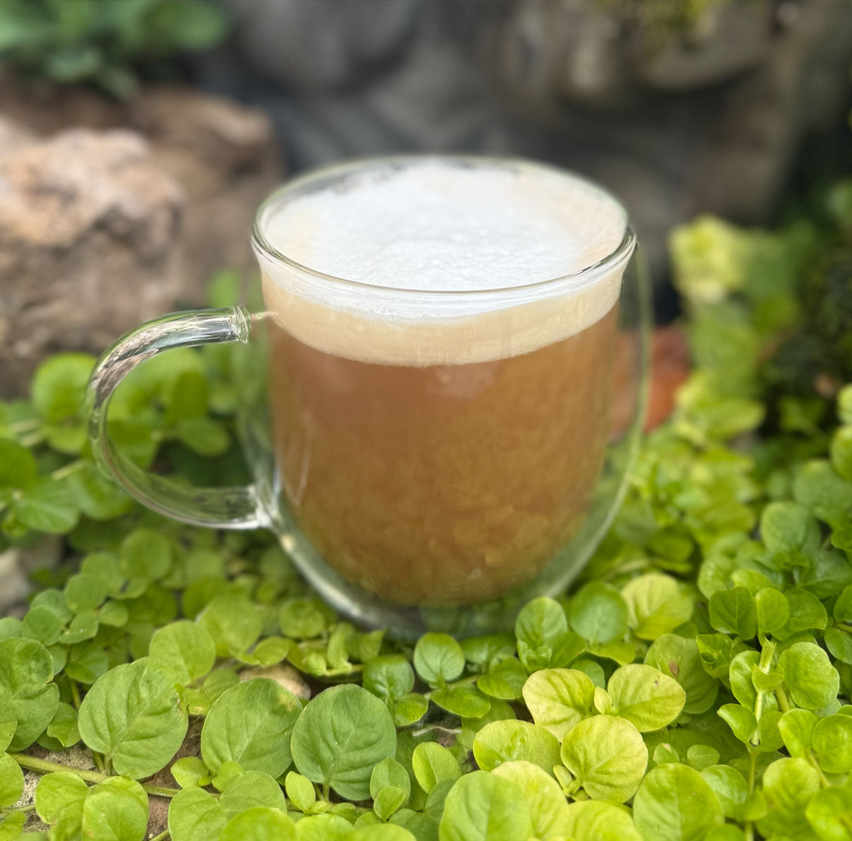 Lady Grey Latte