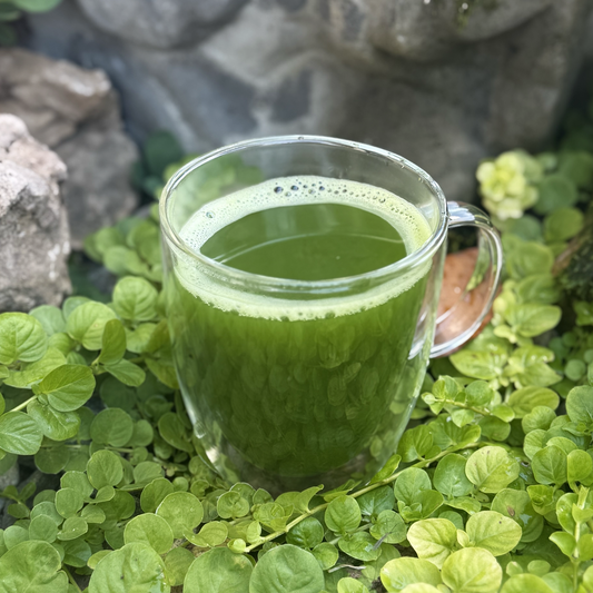 Matcha